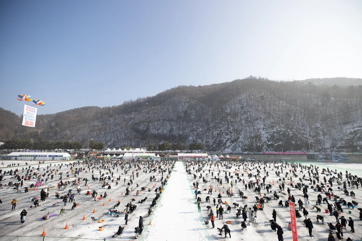 얼음판 가득 낚시객이 모인 화천 산천어축제 얼음낚시터