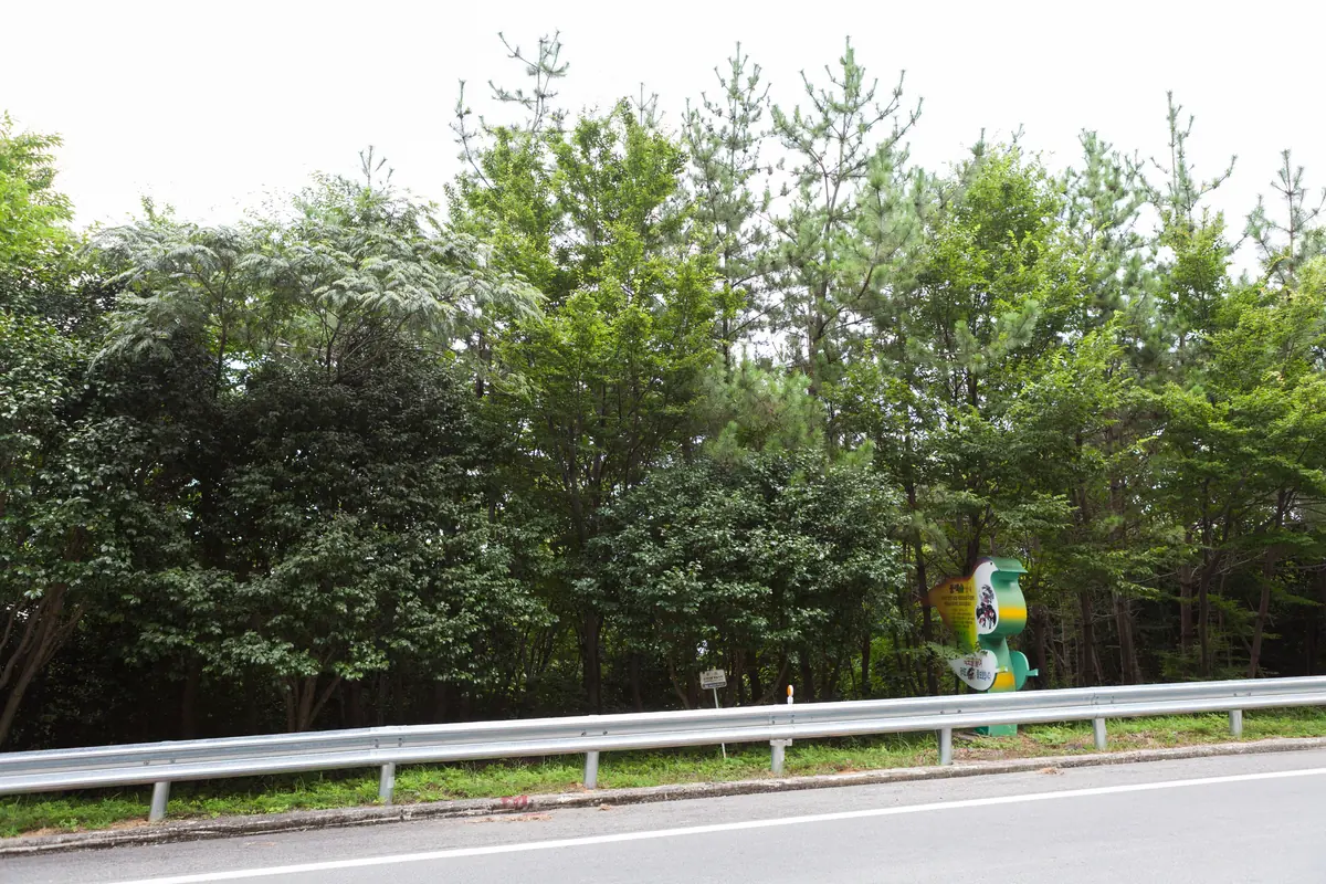 거제 학동리 동백나무 숲 천연기념물 앞 도로와 팔색조 조형물